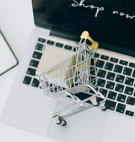 E-commerce Websites